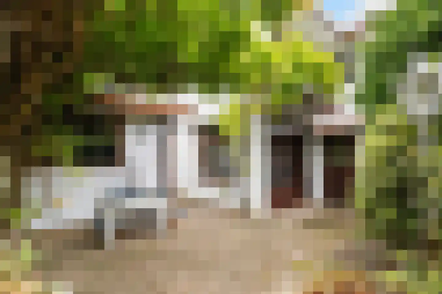 Dijkje 16 Rotterdam thumbnail 12