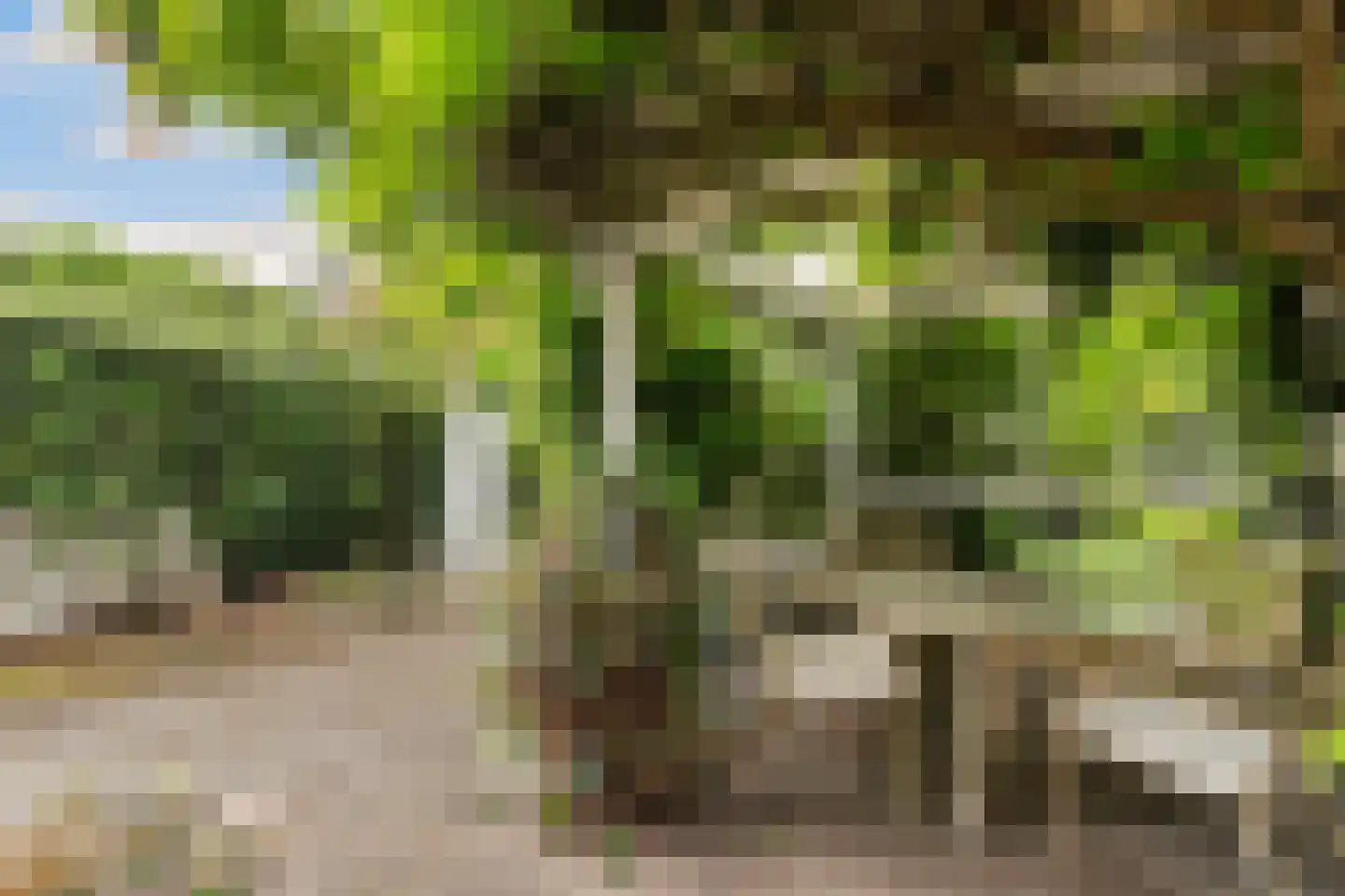 Dijkje 16 Rotterdam thumbnail 14