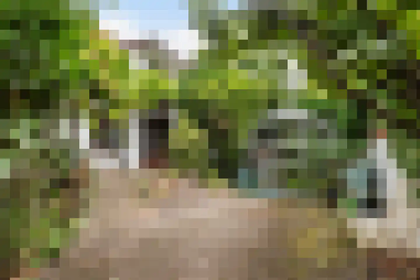 Dijkje 16 Rotterdam thumbnail 15
