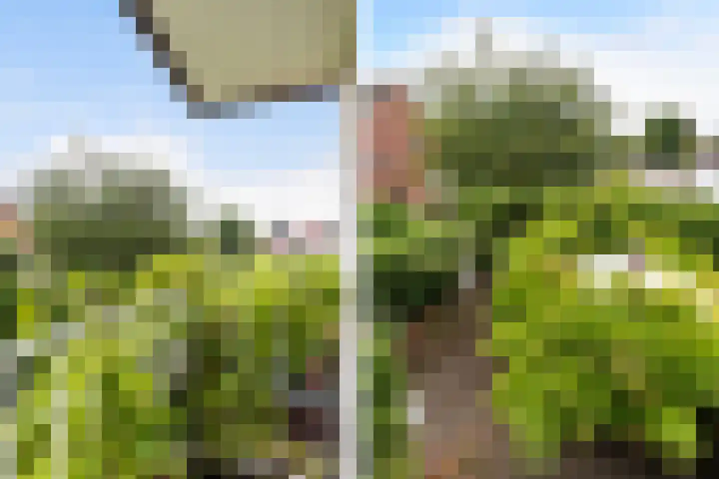 Dijkje 16 Rotterdam thumbnail 19