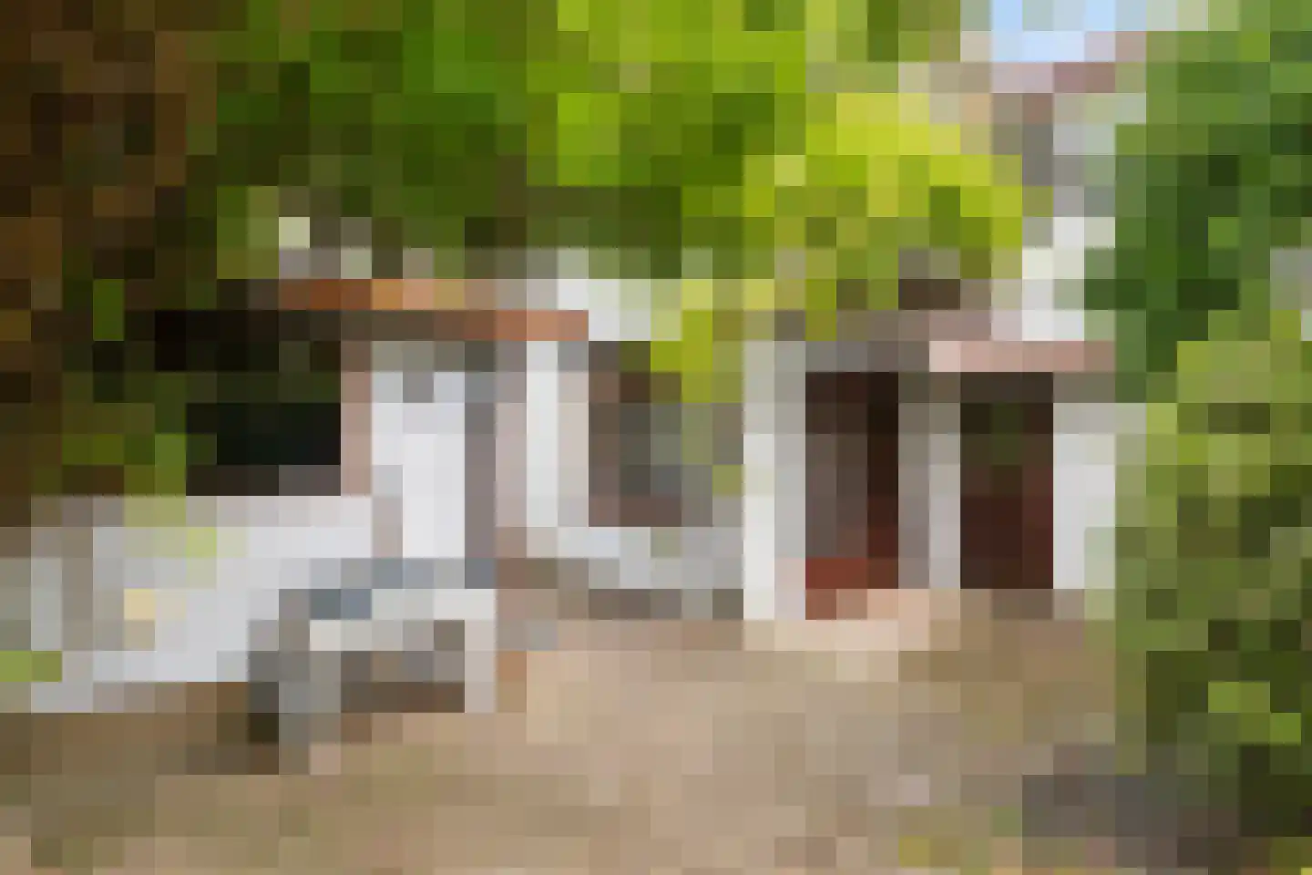 Dijkje 16 Rotterdam thumbnail 24