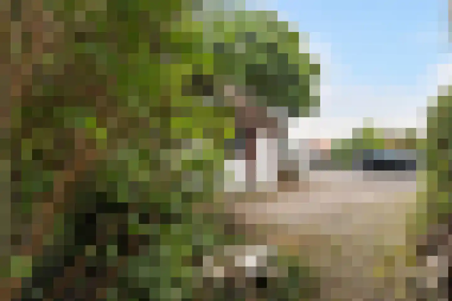 Dijkje 16 Rotterdam thumbnail 26