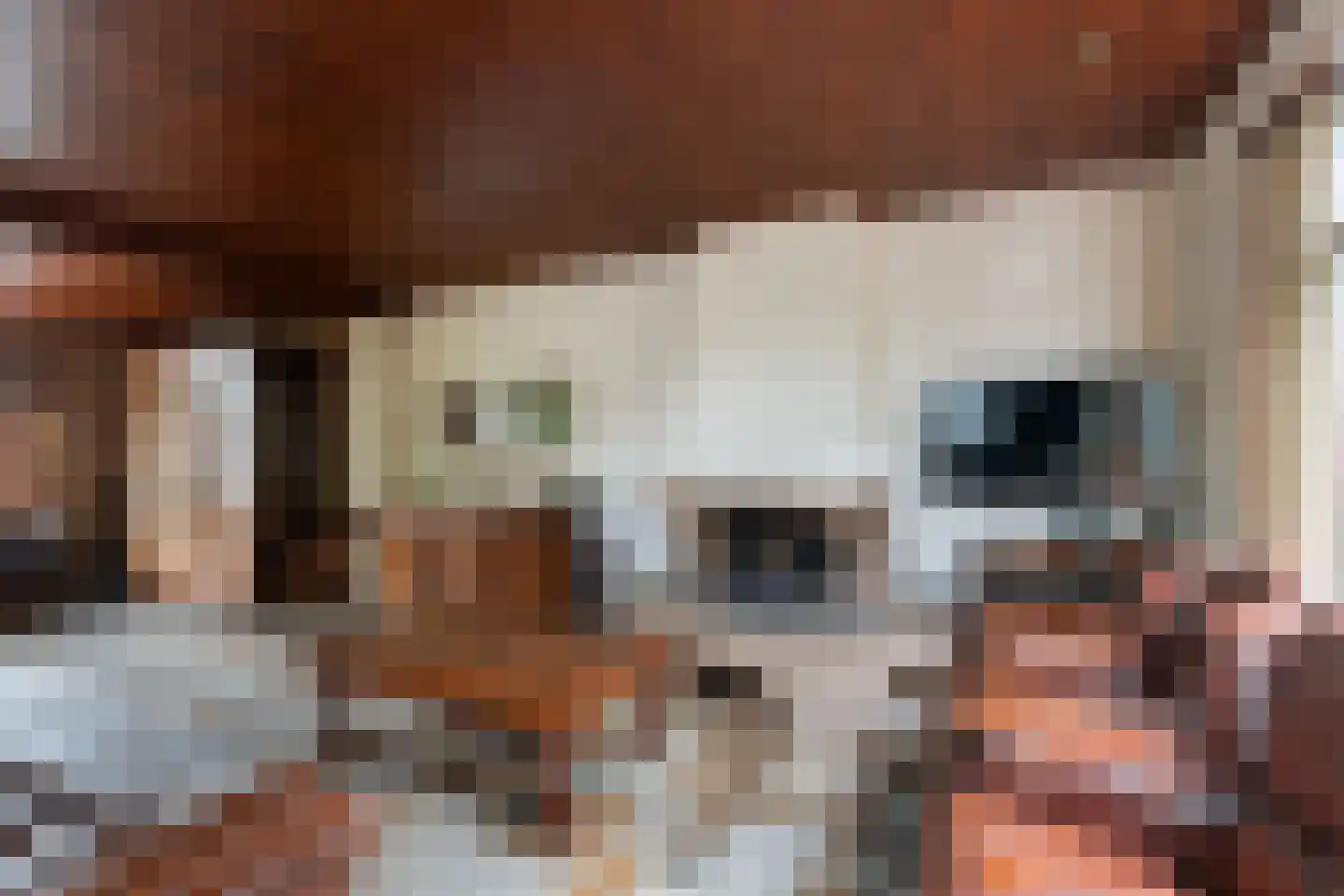 Dijkje 16 Rotterdam thumbnail 5