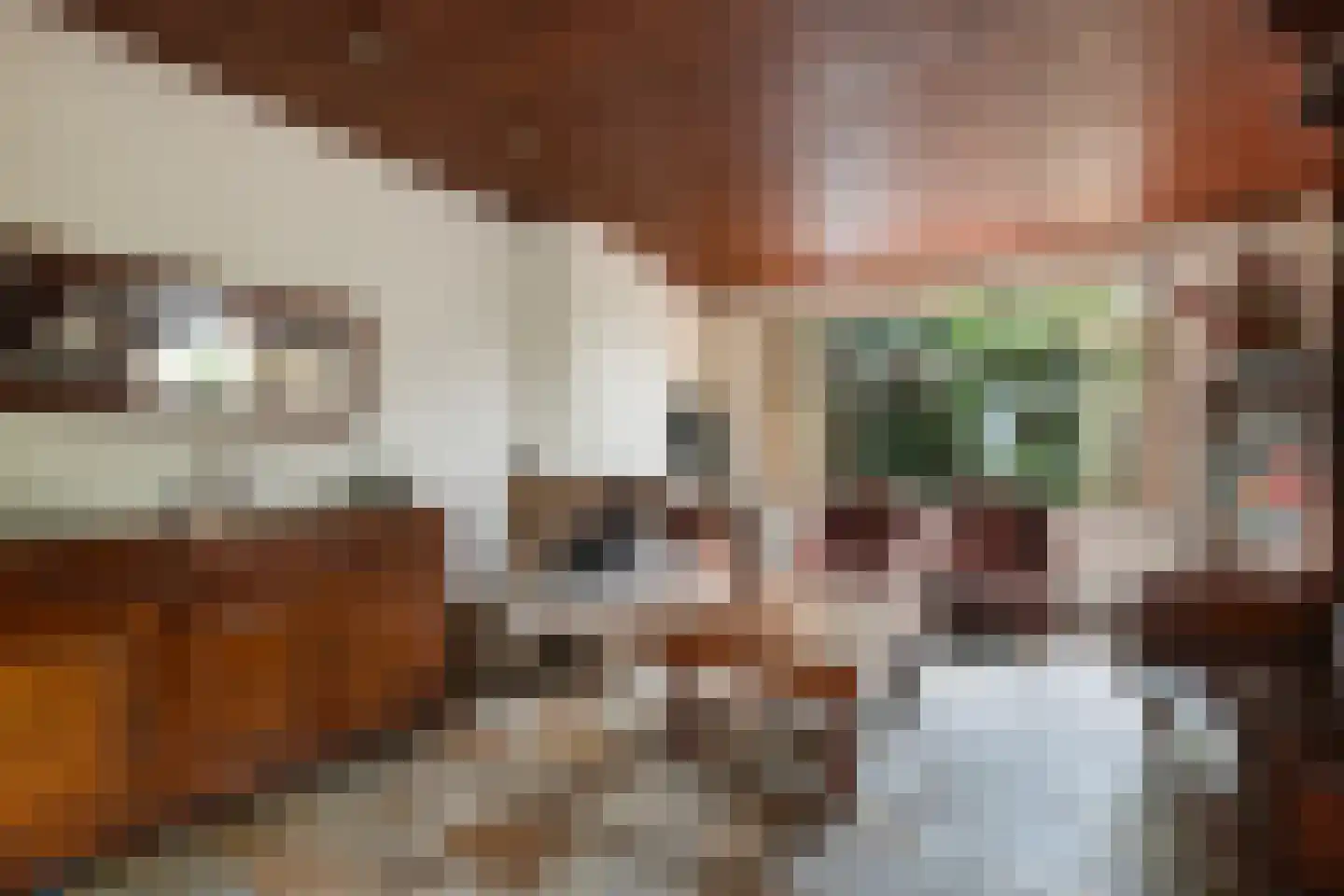 Dijkje 16 Rotterdam thumbnail 7