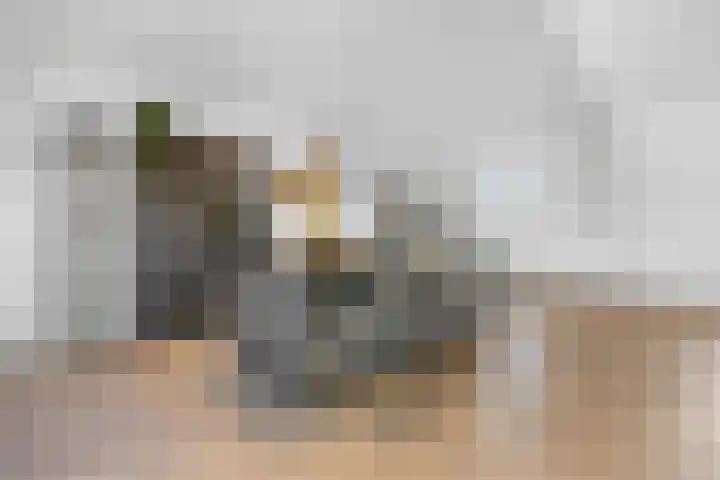 Dijkje 2 A Barneveld thumbnail 11