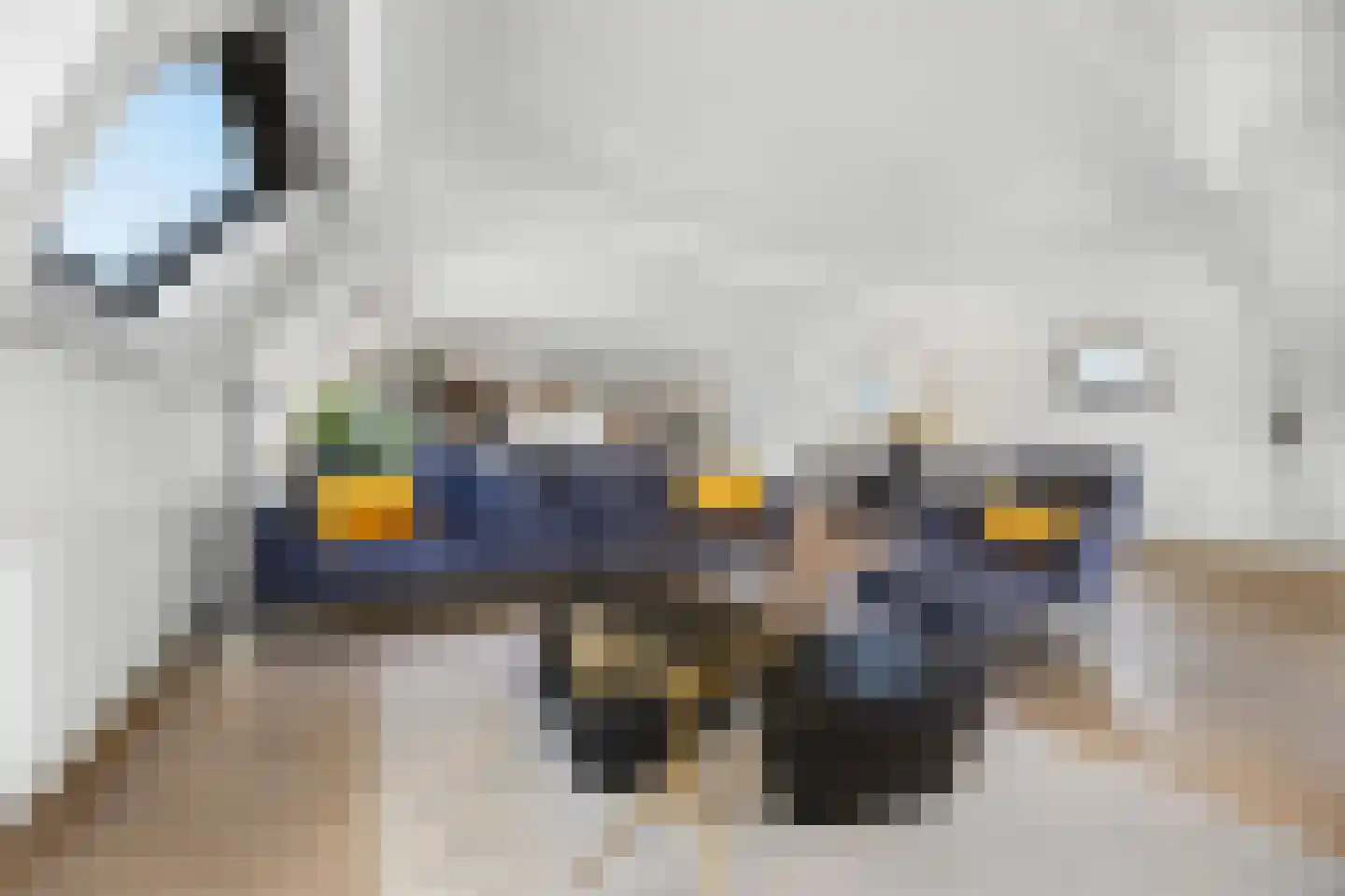 Dijkje 2 A Barneveld thumbnail 12