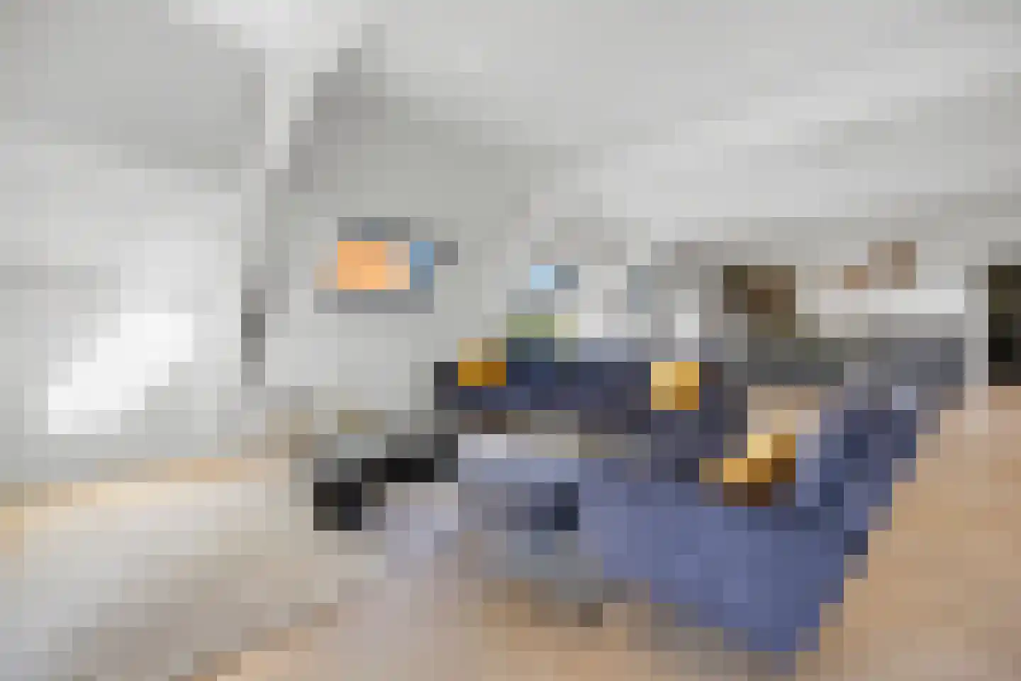 Dijkje 2 A Barneveld thumbnail 13