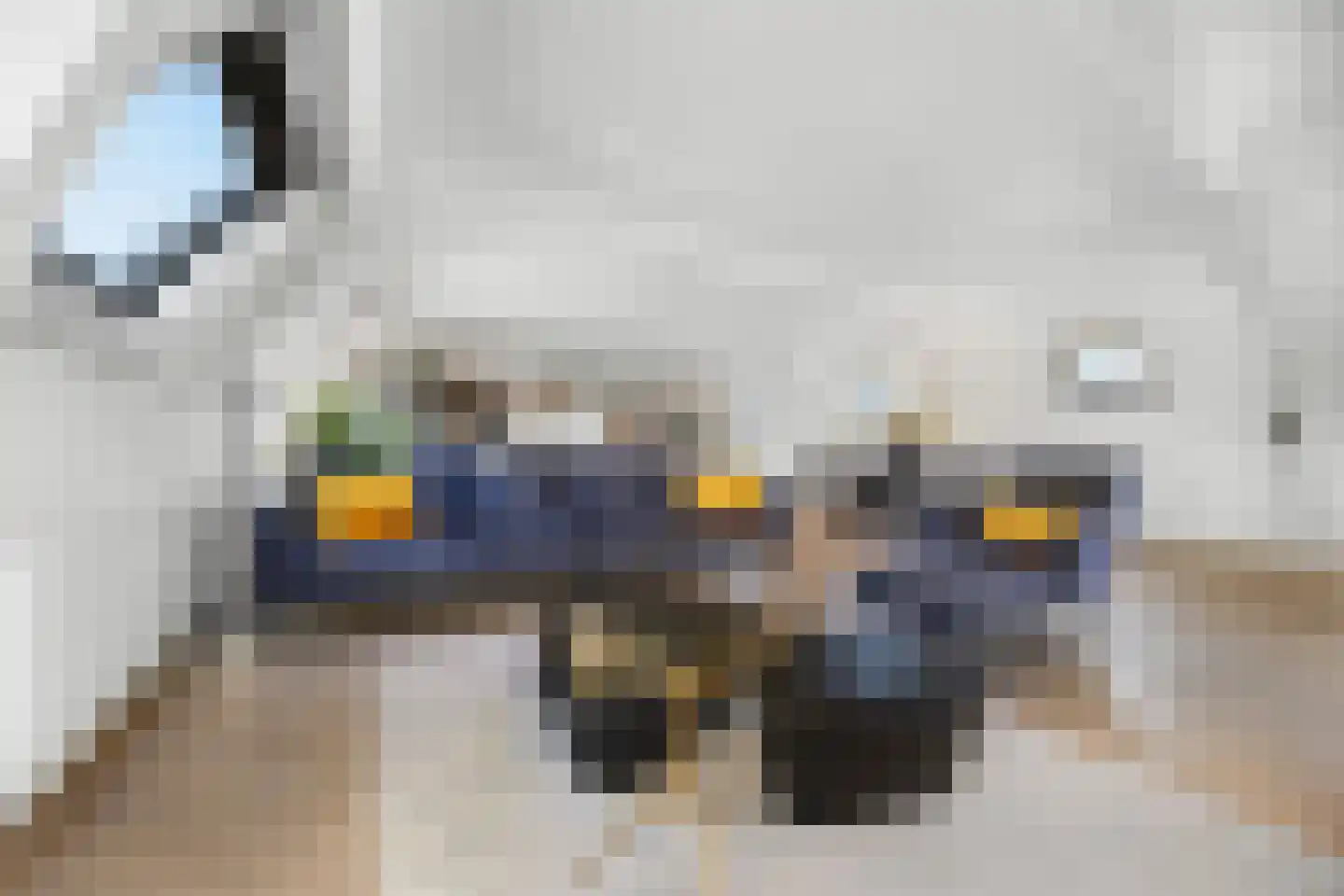 Dijkje 2 A Barneveld thumbnail 15