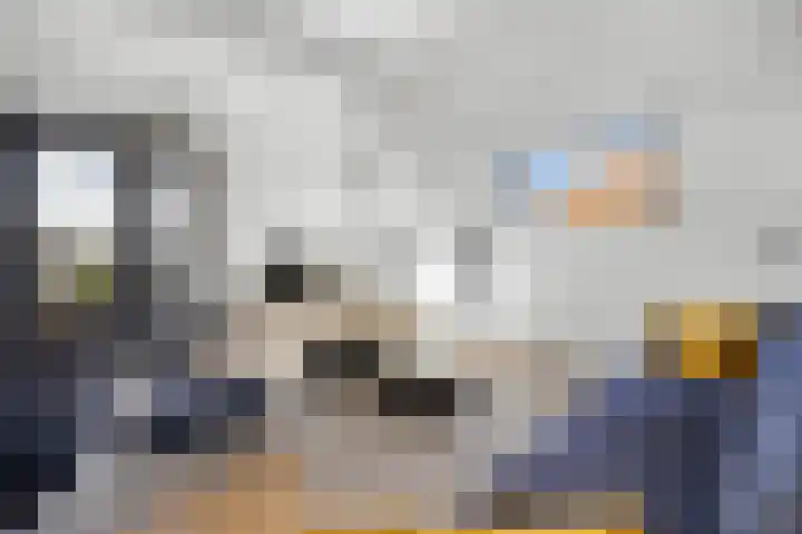 Dijkje 2 A Barneveld thumbnail 16
