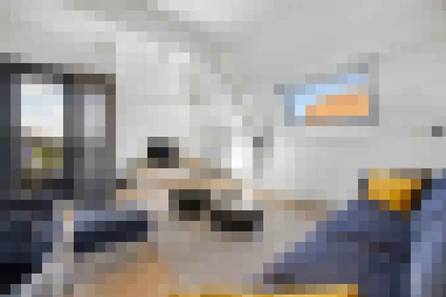 Dijkje 2 A Barneveld thumbnail 16