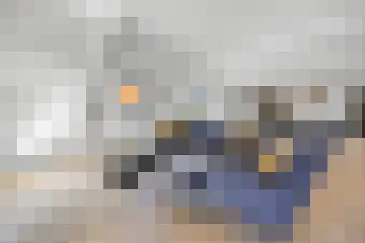 Dijkje 2 A Barneveld thumbnail 17