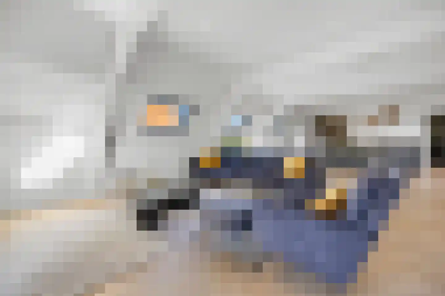 Dijkje 2 A Barneveld thumbnail 17