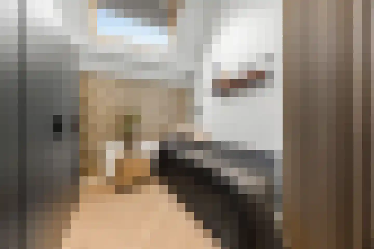 Dijkje 2 A Barneveld thumbnail 18