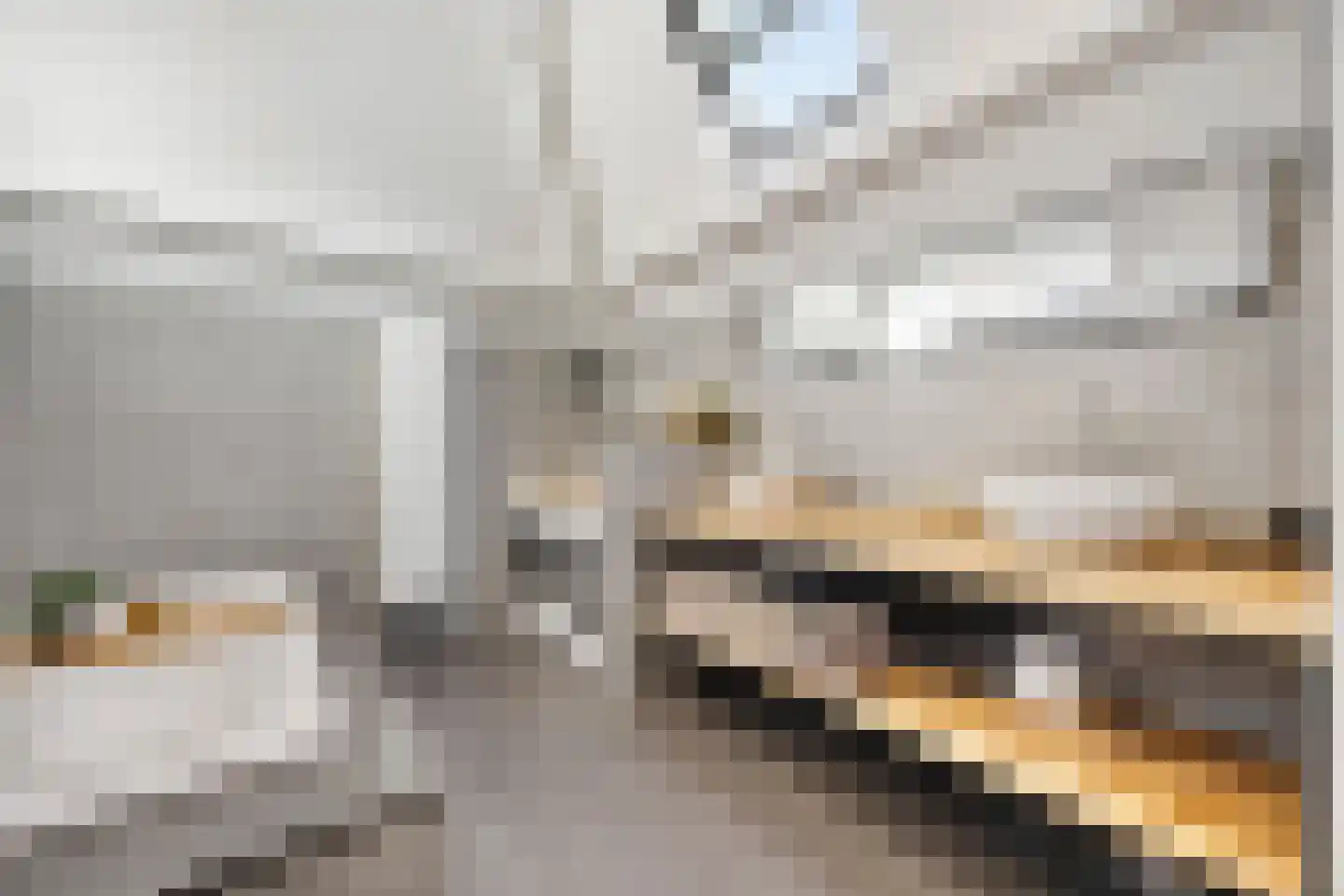 Dijkje 2 A Barneveld thumbnail 21