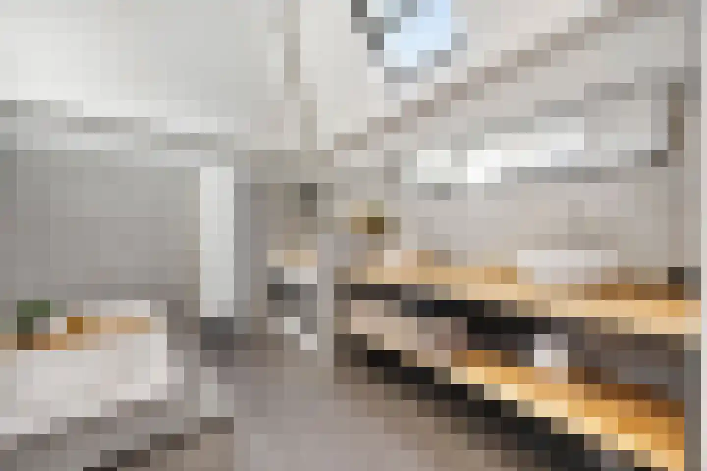 Dijkje 2 A Barneveld thumbnail 22