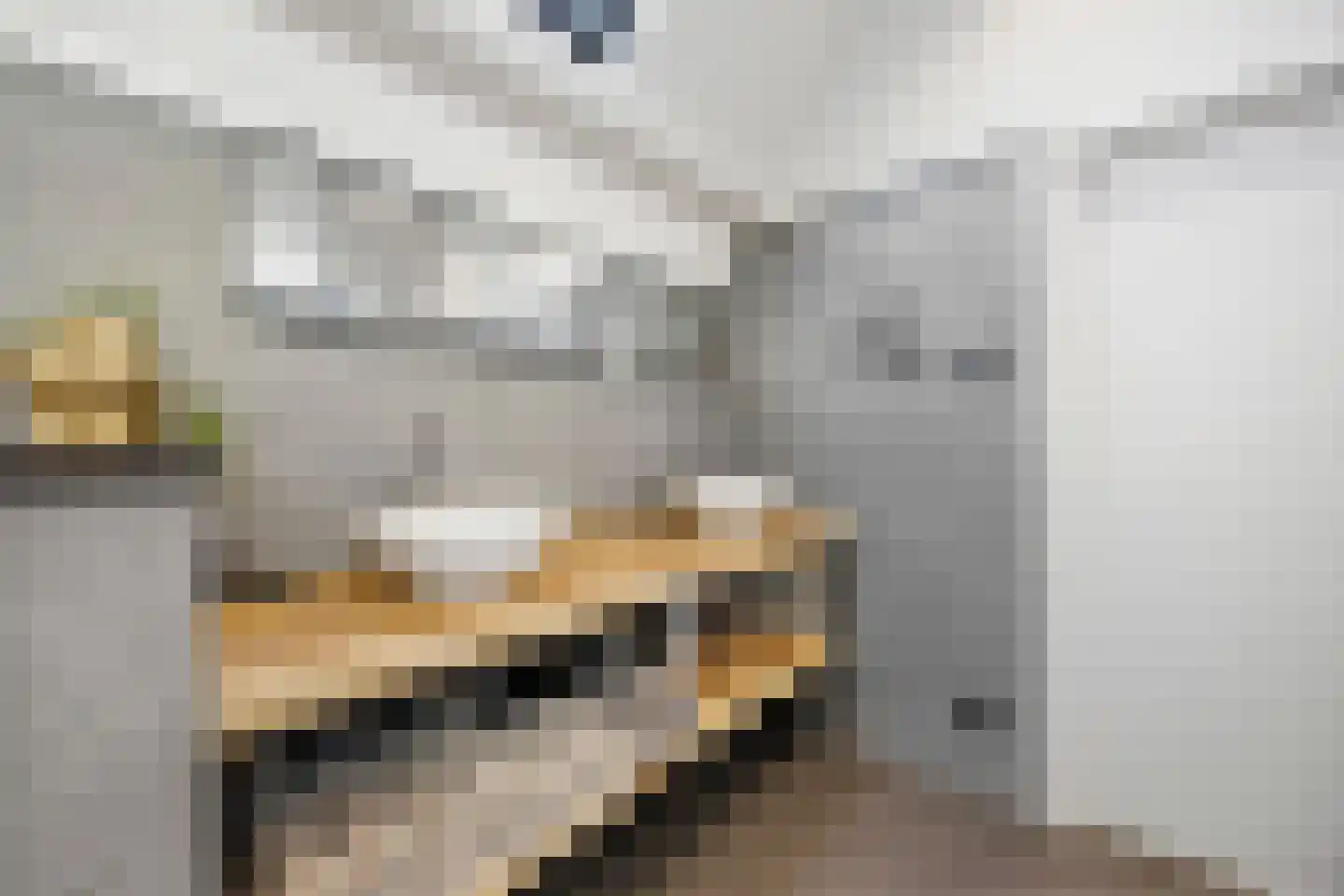 Dijkje 2 A Barneveld thumbnail 22