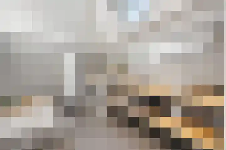Dijkje 2 A Barneveld thumbnail 23