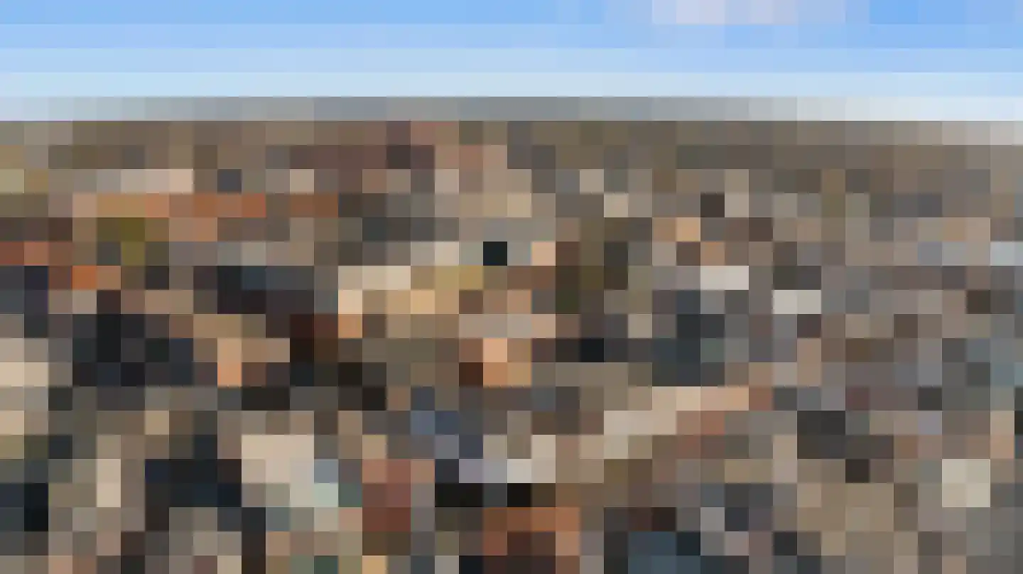 Dijkje 2 A Barneveld thumbnail 24
