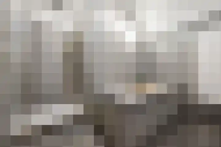 Dijkje 2 A Barneveld thumbnail 25