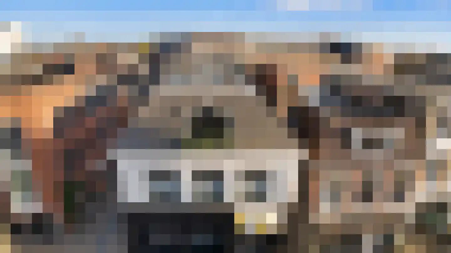 Dijkje 2 A Barneveld thumbnail 30