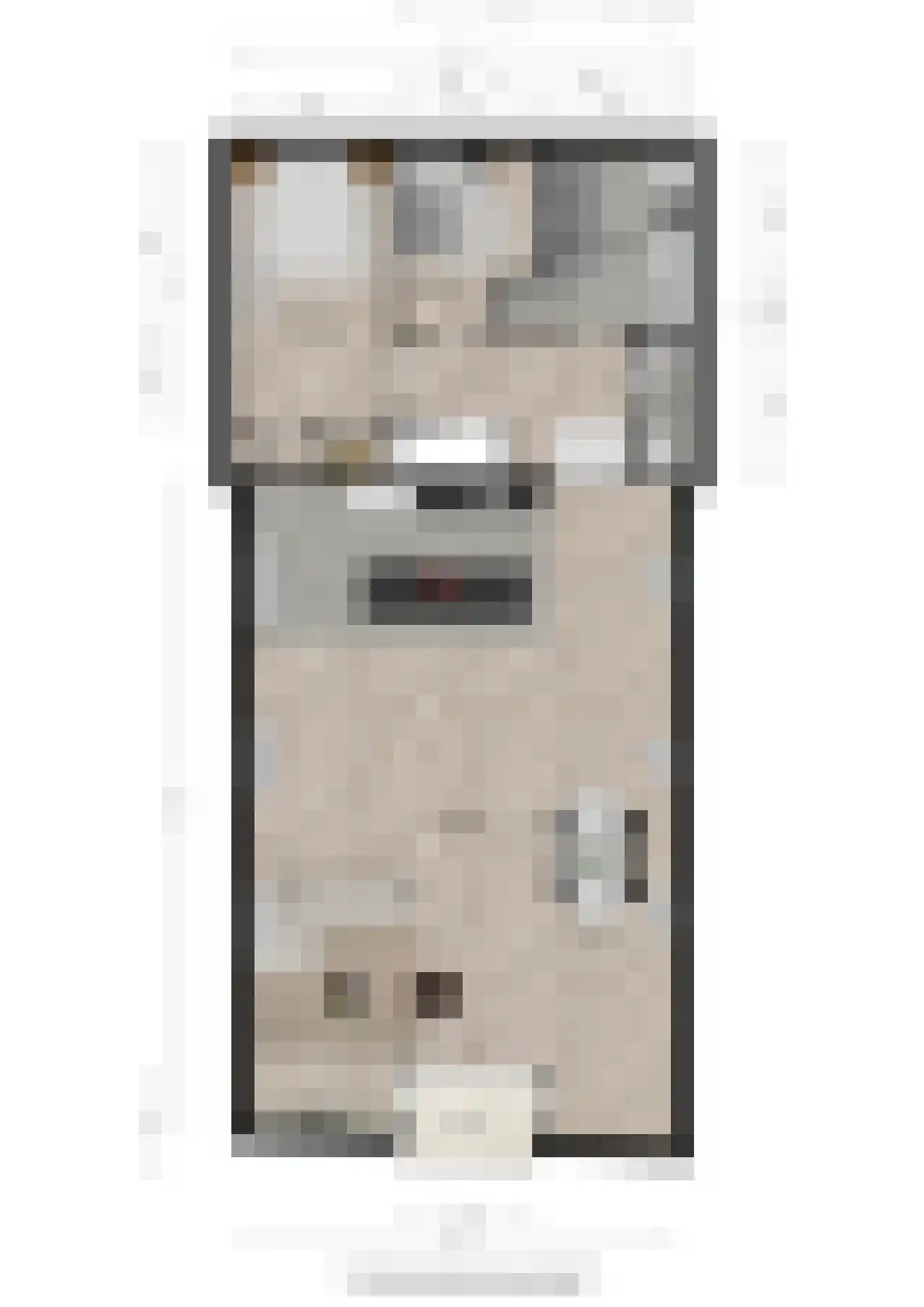 Dijkje 2 A Barneveld thumbnail 31