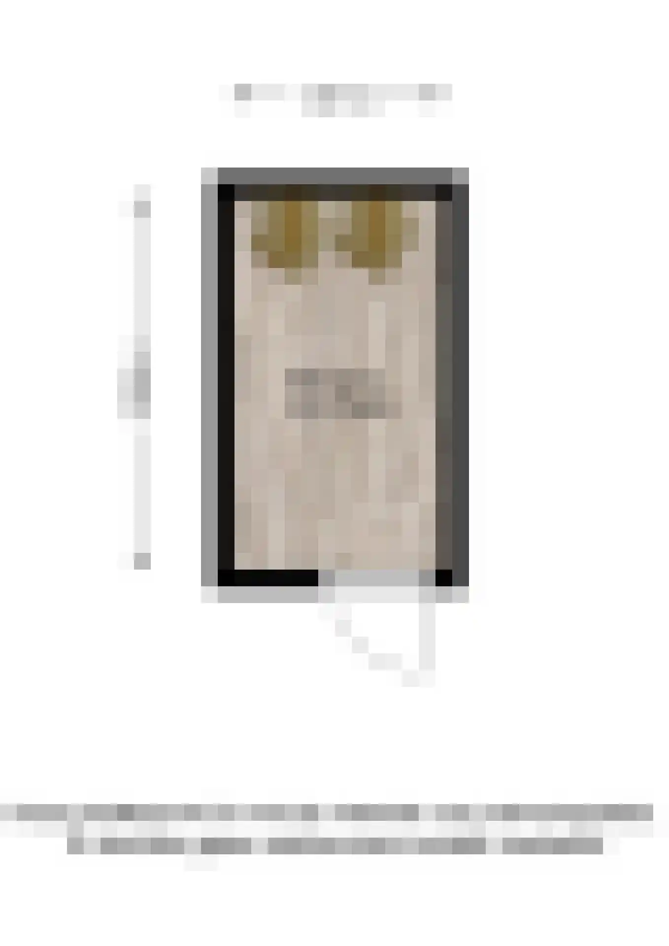 Dijkje 2 A Barneveld thumbnail 36