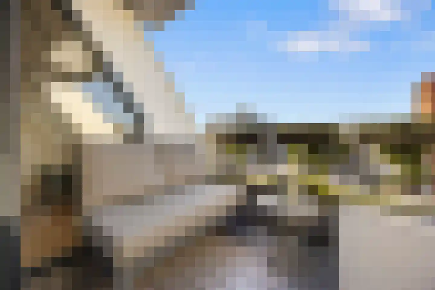 Dijkje 2 A Barneveld thumbnail 4
