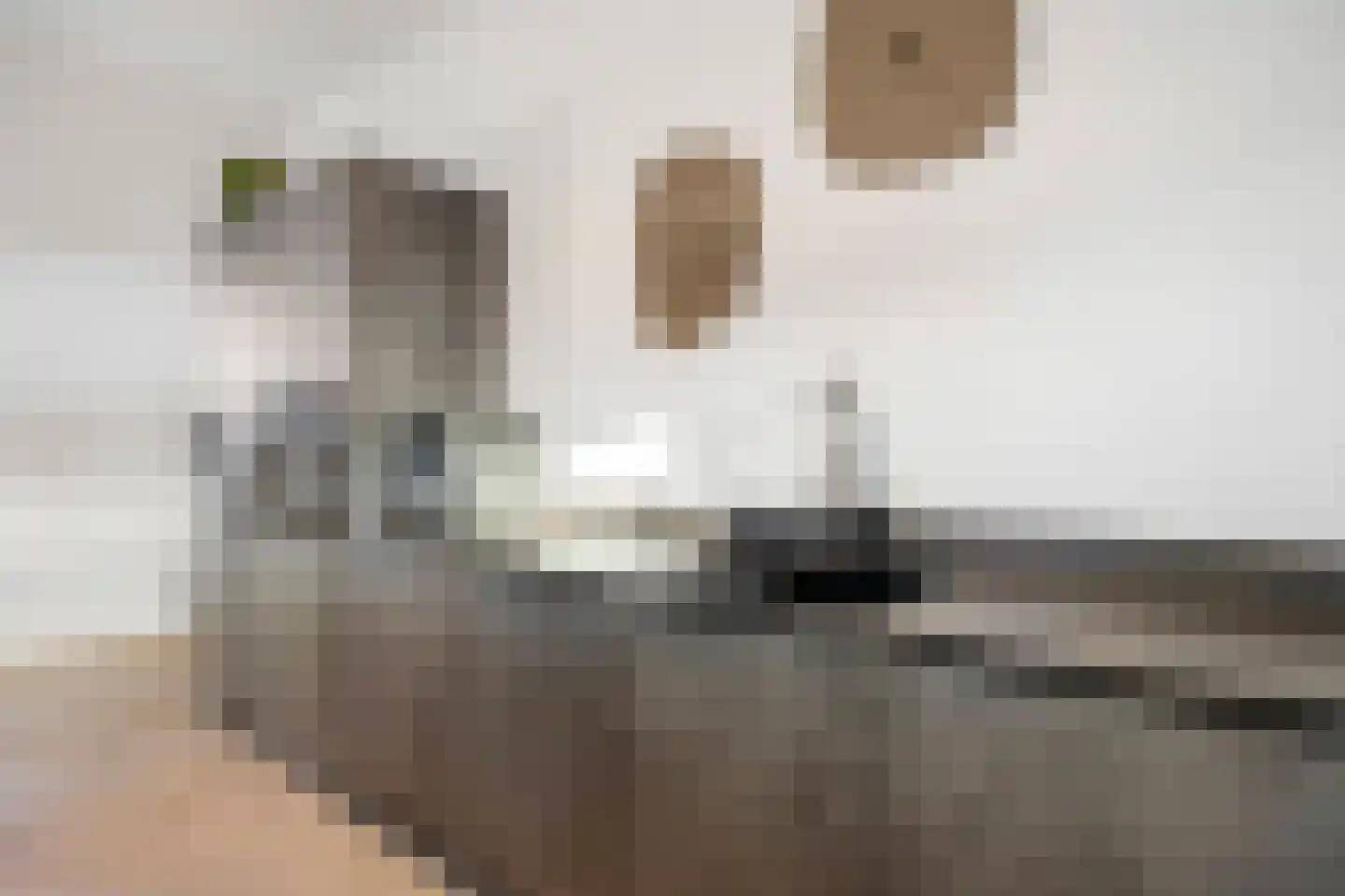 Dijkje 2 A Barneveld thumbnail 8