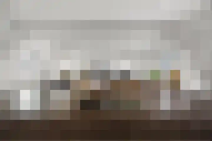 Dijkje 2 A Barneveld thumbnail 8