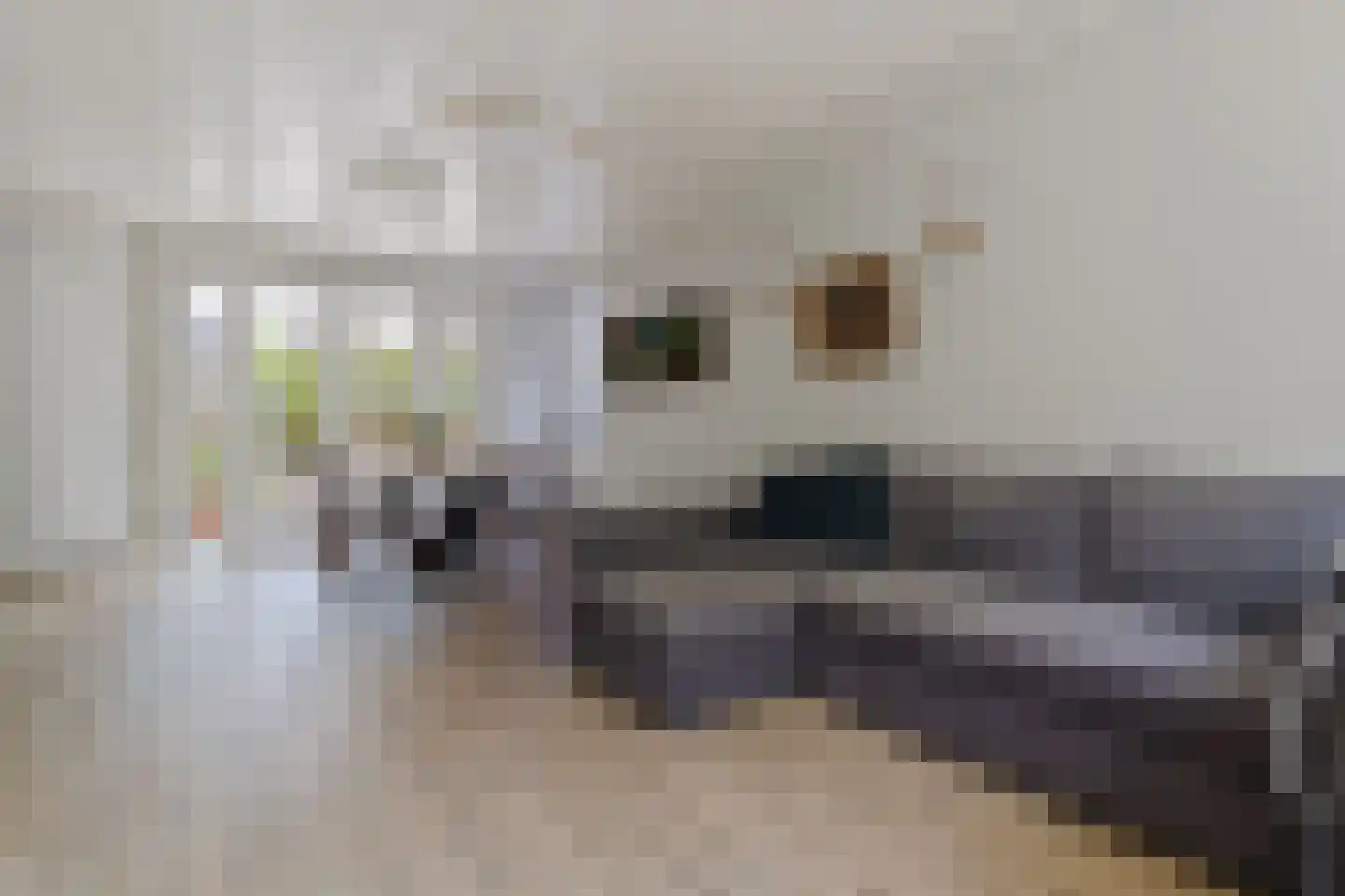 Dijkje 81 Ridderkerk thumbnail 13