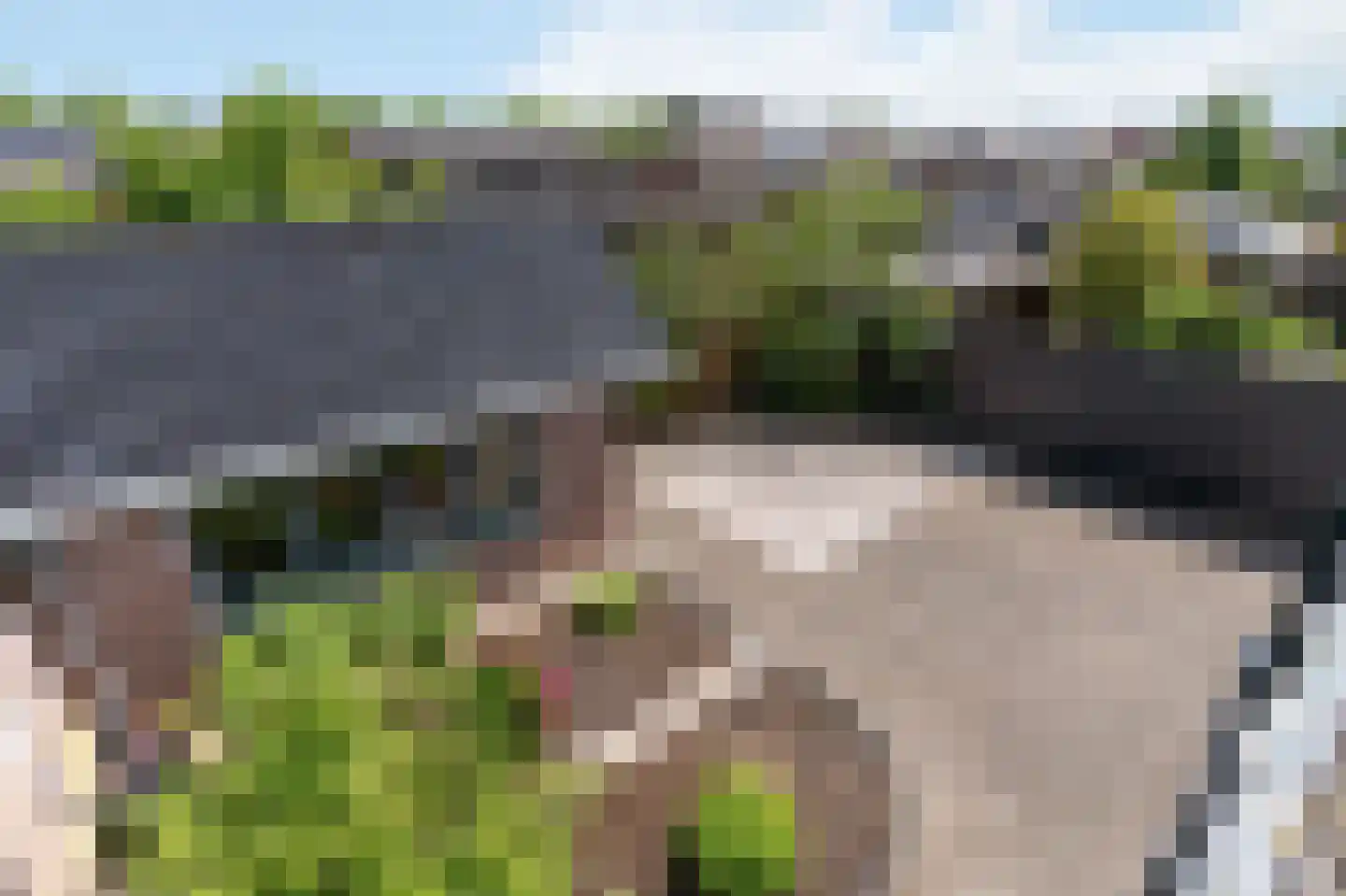 Dijkje 81 Ridderkerk thumbnail 19