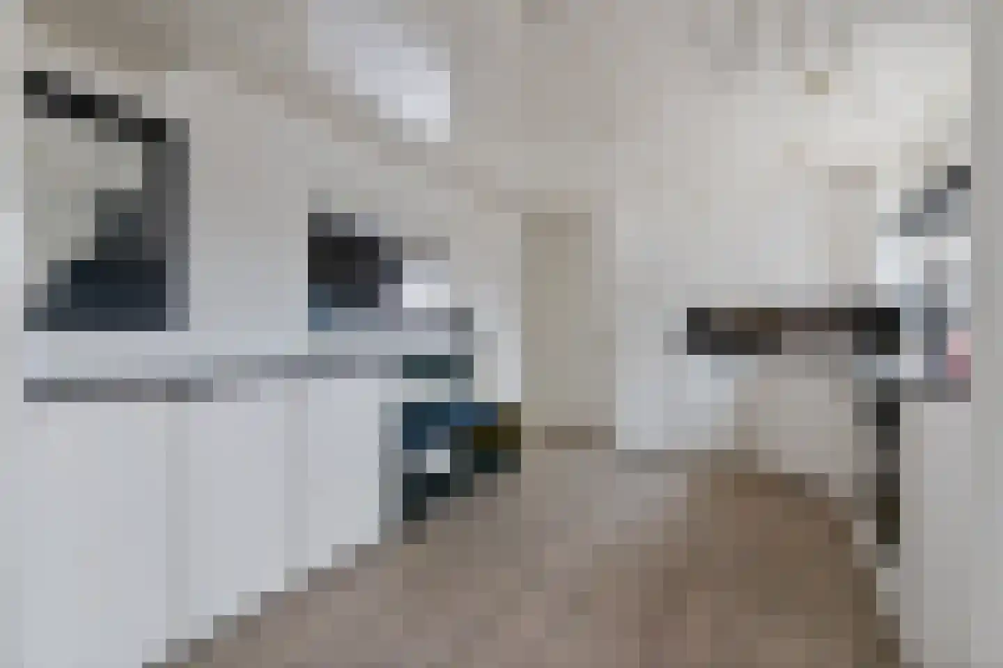 Dijkje 81 Ridderkerk thumbnail 20