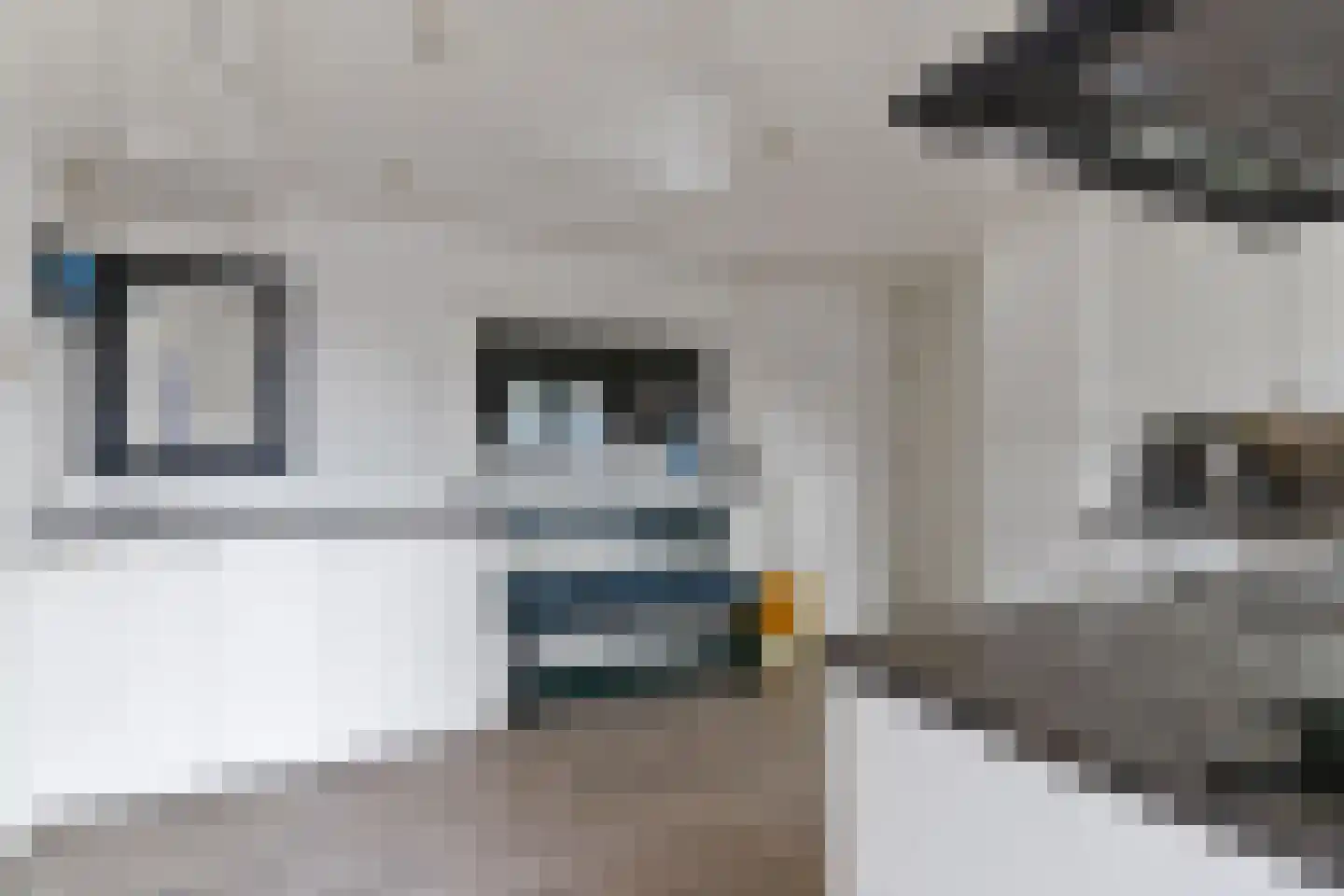 Dijkje 81 Ridderkerk thumbnail 21