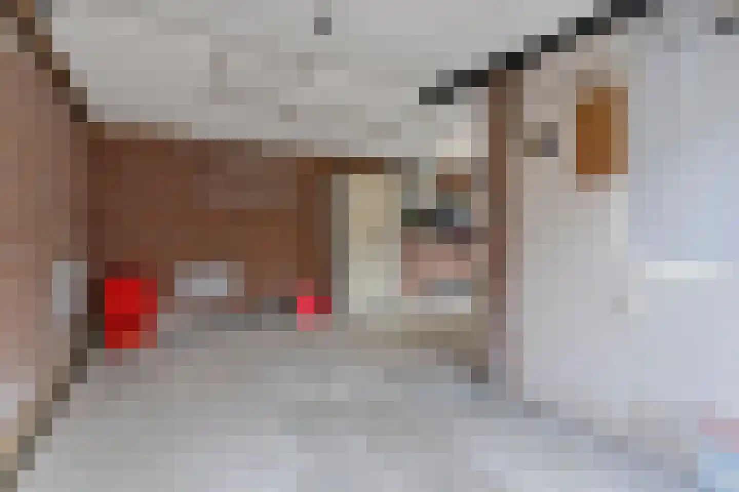 Dijkje 81 Ridderkerk thumbnail 54
