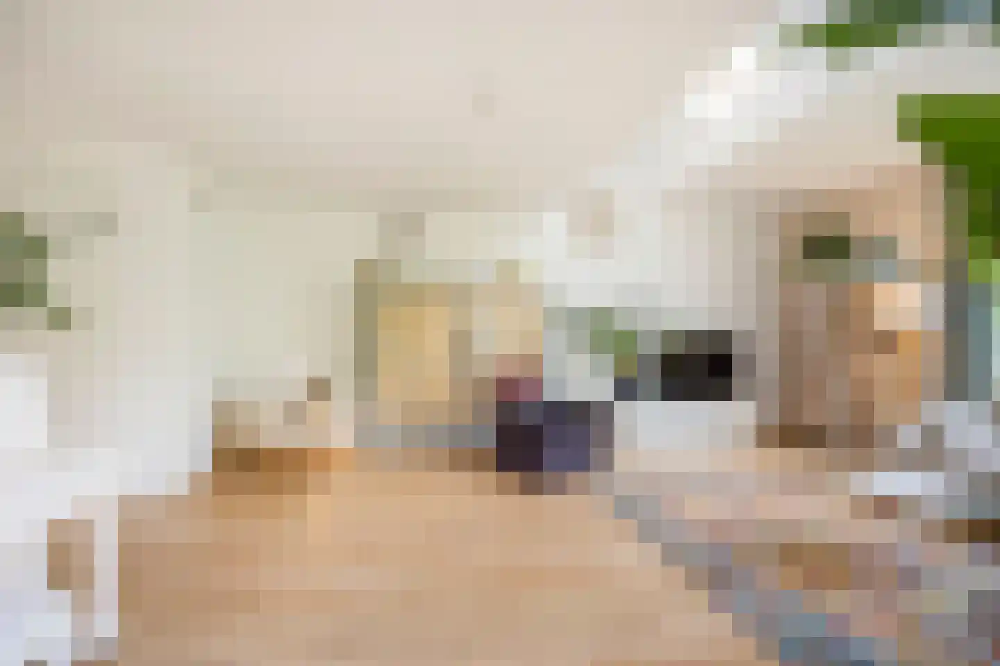 Dijkkruin 13 Arnhem thumbnail 15