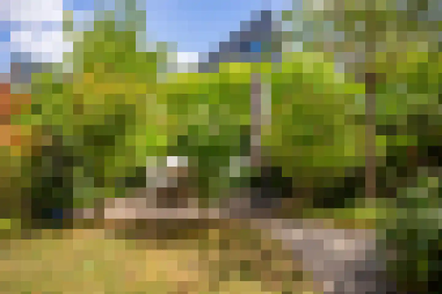 Dijkkruin 13 Arnhem thumbnail 17