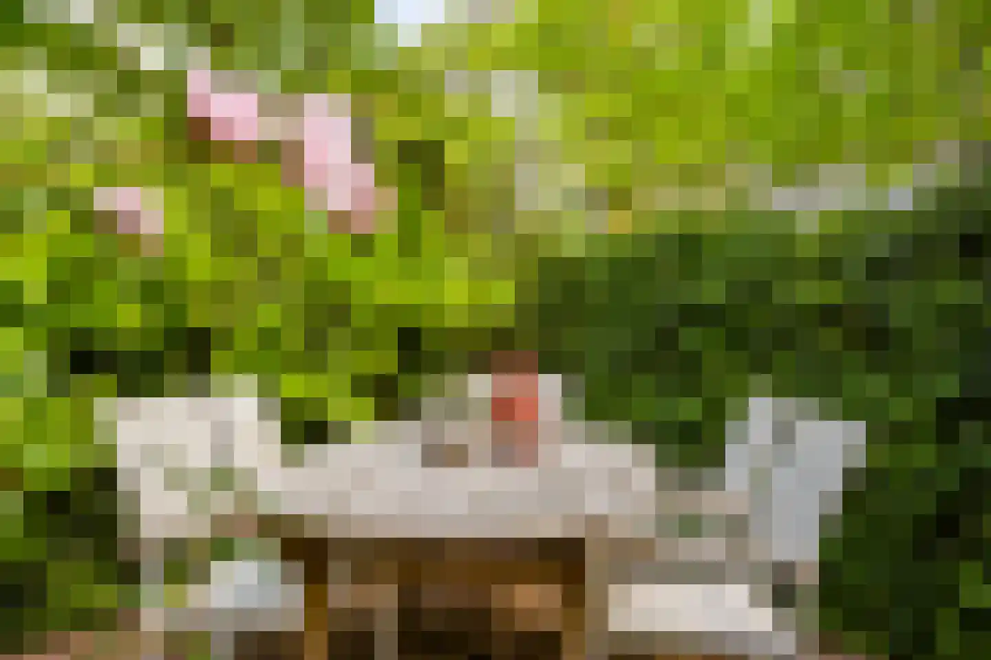 Dijkkruin 13 Arnhem thumbnail 18