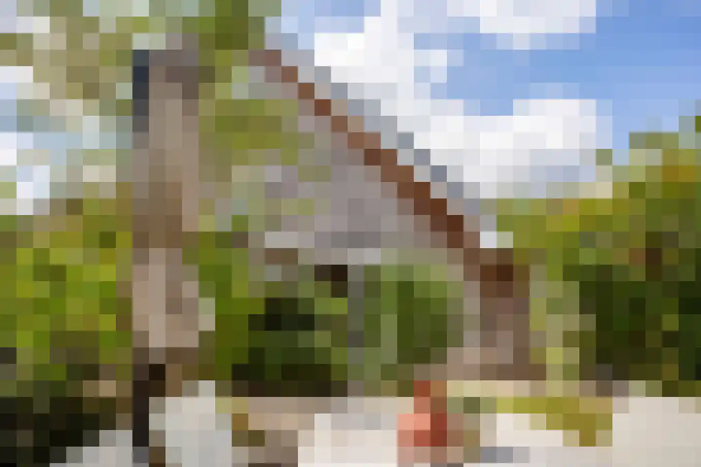 Dijkkruin 13 Arnhem thumbnail 19