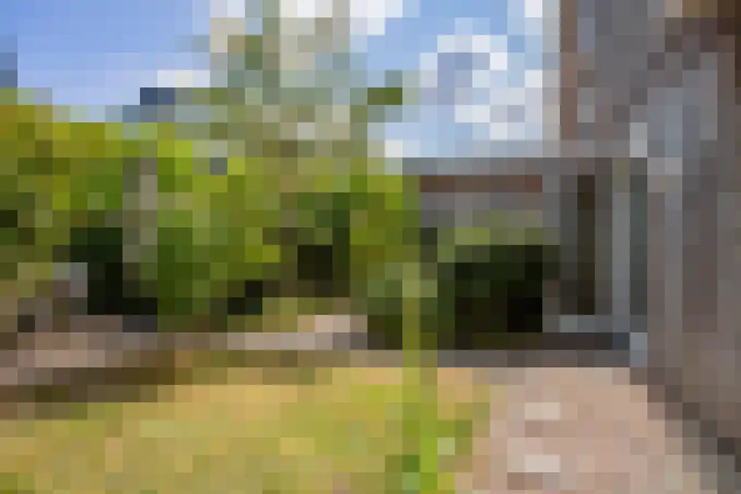 Dijkkruin 13 Arnhem thumbnail 20