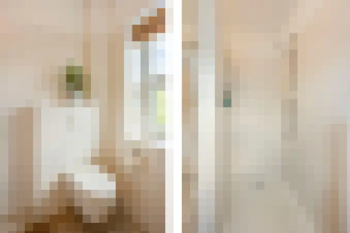 Dijkkruin 13 Arnhem thumbnail 27