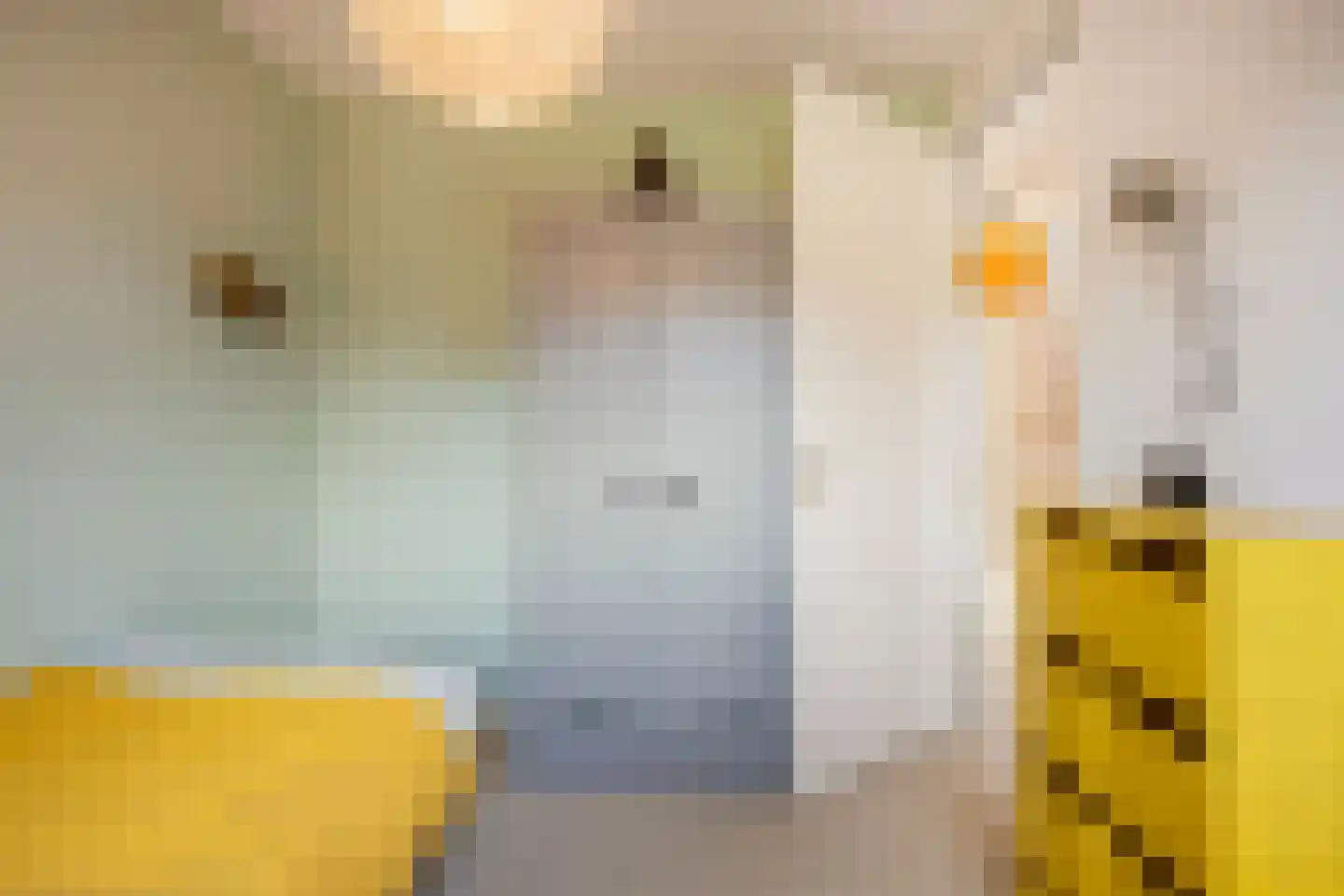 Dijkkruin 13 Arnhem thumbnail 29