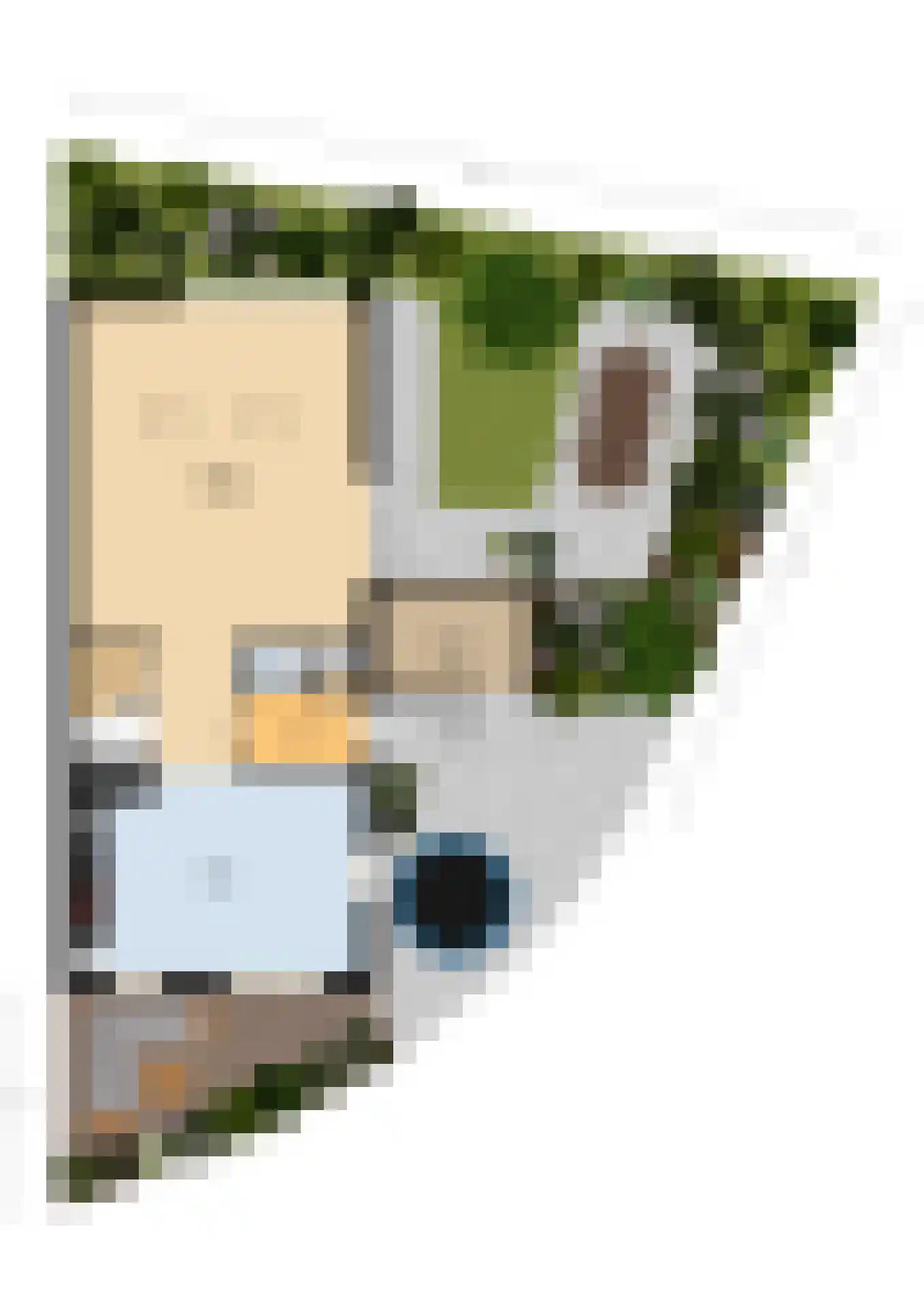 Dijkkruin 13 Arnhem thumbnail 39