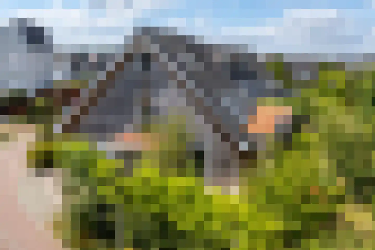 Dijkkruin 13 Arnhem thumbnail 5