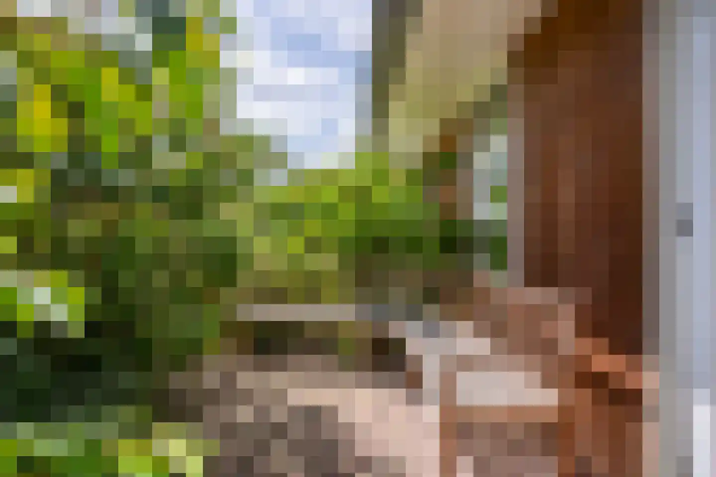 Dijkkruin 13 Arnhem thumbnail 6