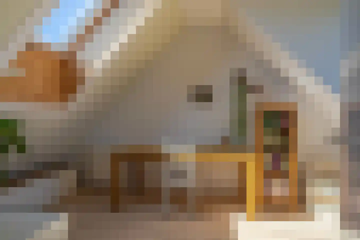 Dijkkruin 7 Arnhem thumbnail 26