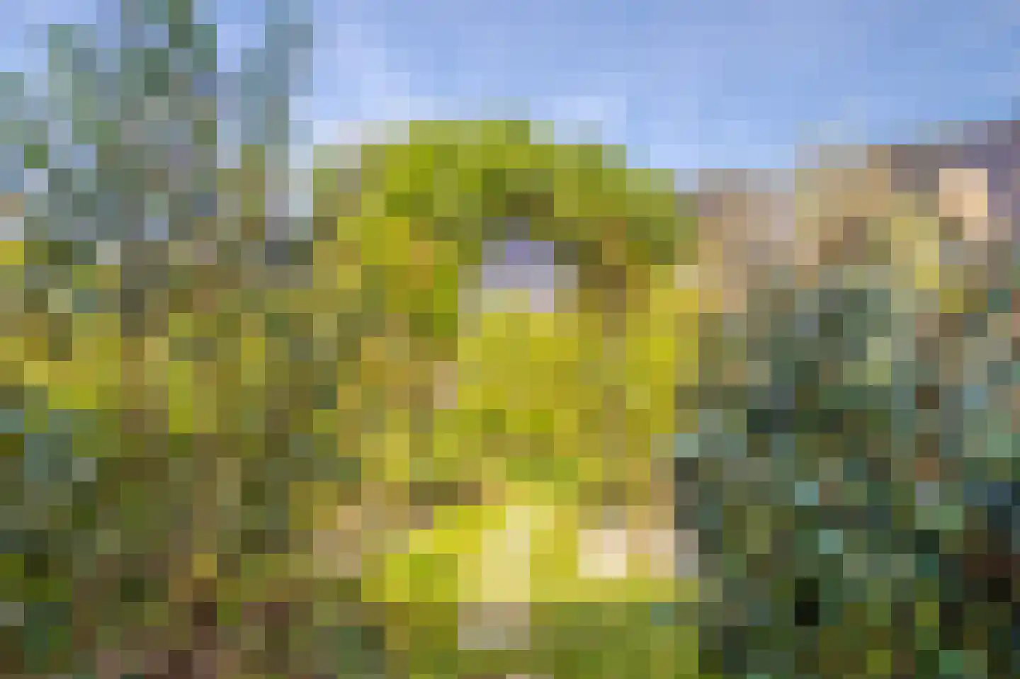 Dijkkruin 7 Arnhem thumbnail 30