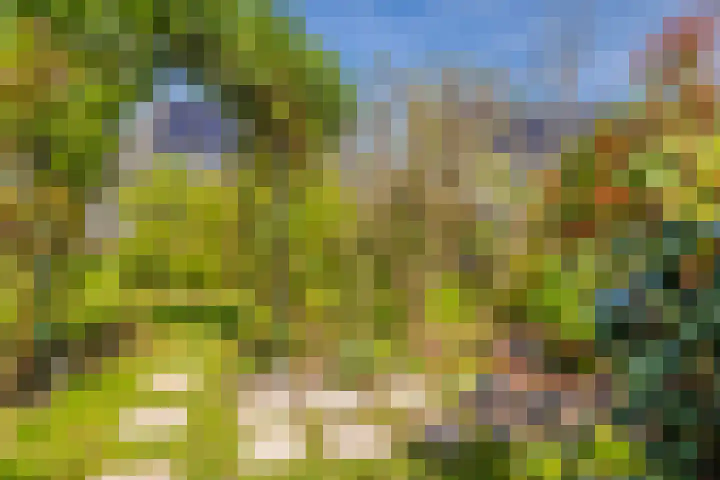 Dijkkruin 7 Arnhem thumbnail 31
