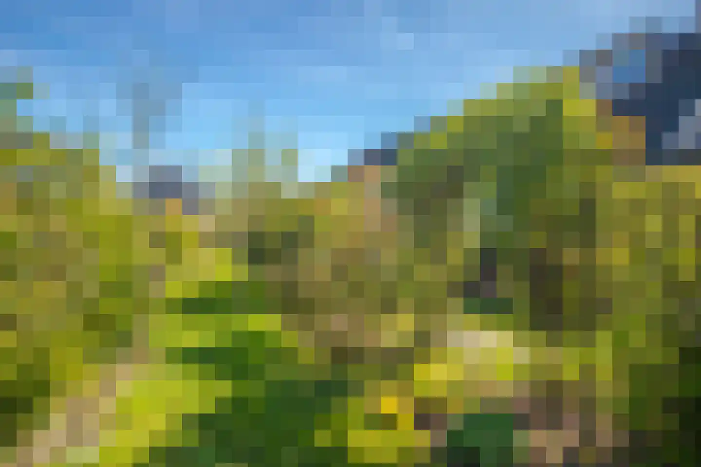 Dijkkruin 7 Arnhem thumbnail 33