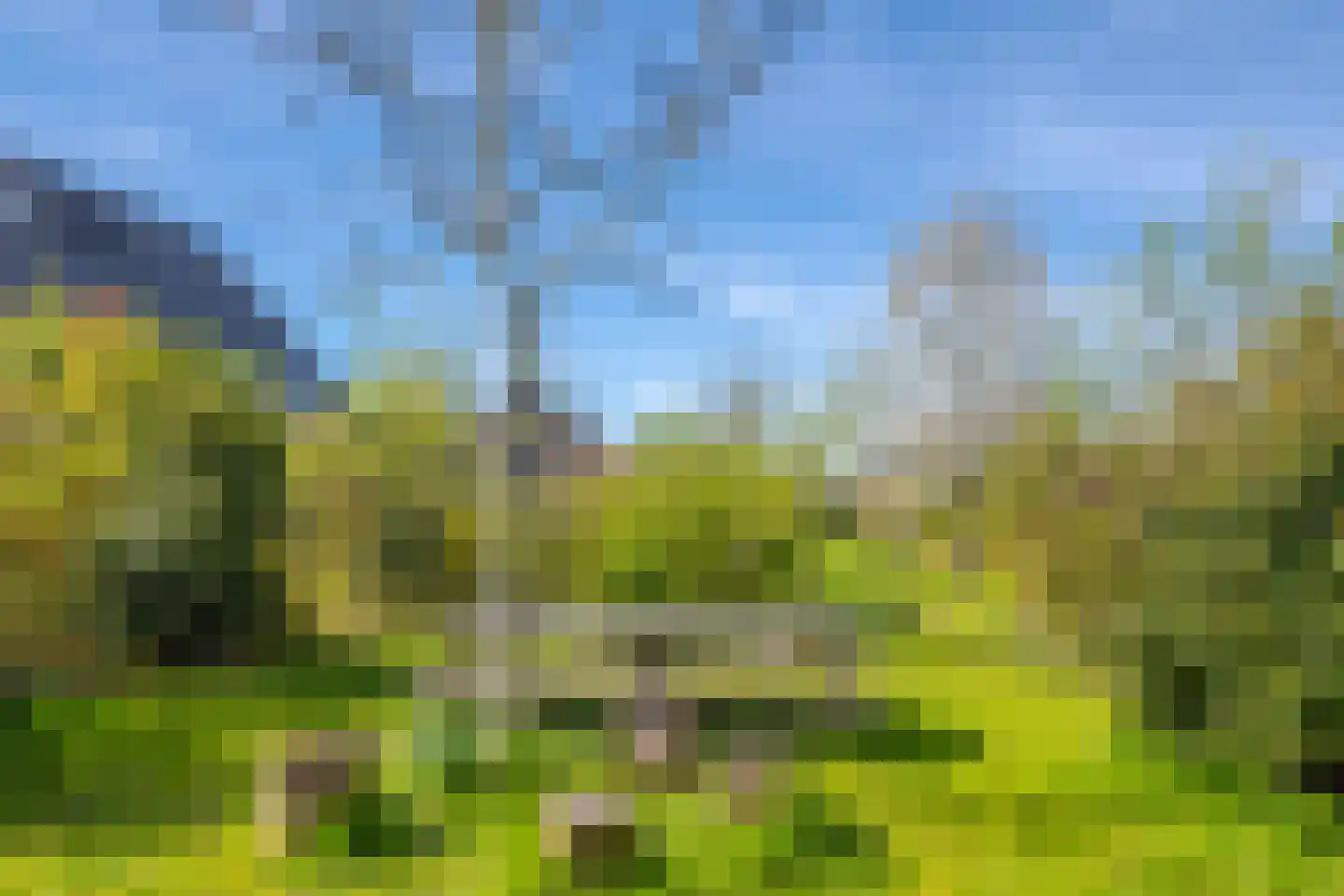 Dijkkruin 7 Arnhem thumbnail 34
