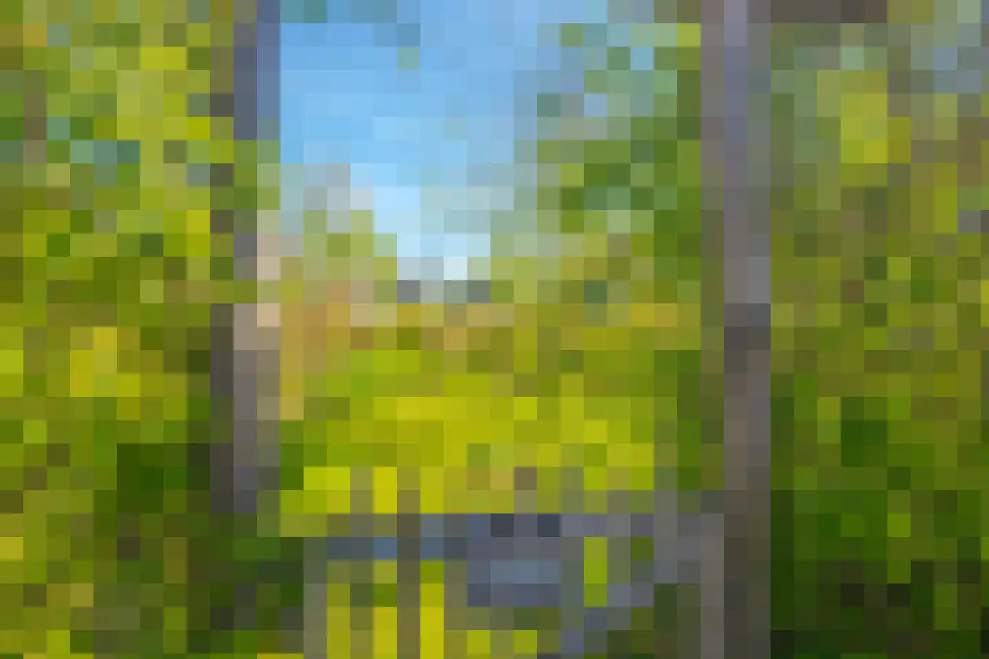 Dijkkruin 7 Arnhem thumbnail 35